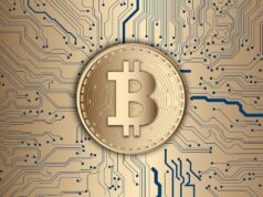 Freelancing for Crypto – How to Get Paid in Bitcoin and Altcoins bitcoin, cryptocurrency, crypto, blockchain, currency, money, digital currency, bitcoin, bitcoin, bitcoin, bitcoin, bitcoin, cryptocurrency, crypto, crypto, crypto, blockchain, money, money